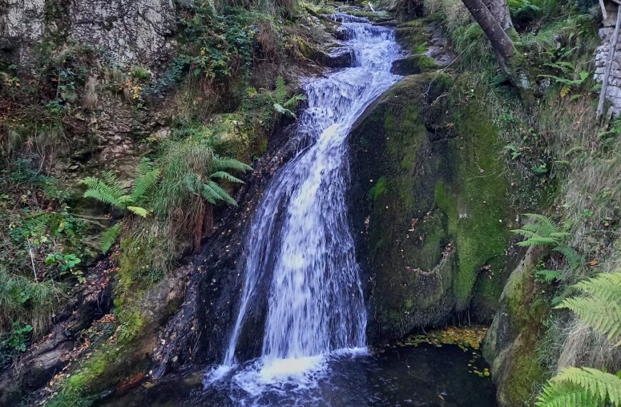 Pico Fresnos Parque Natural Redes senderismo niños Asturias