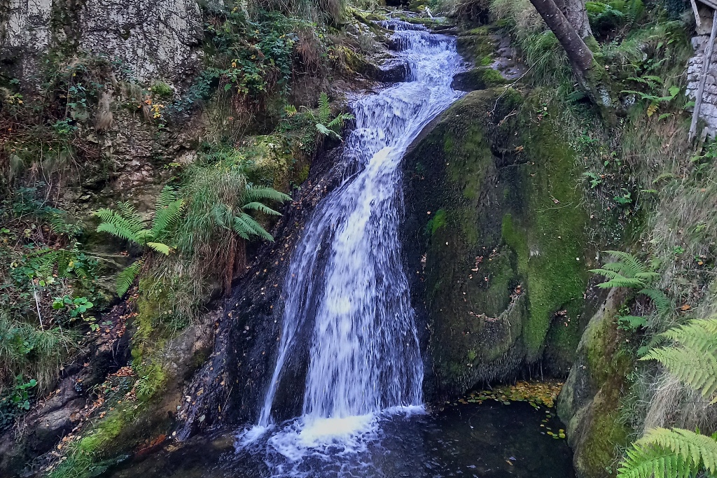 Pico Fresnos Parque Natural Redes senderismo niños Asturias