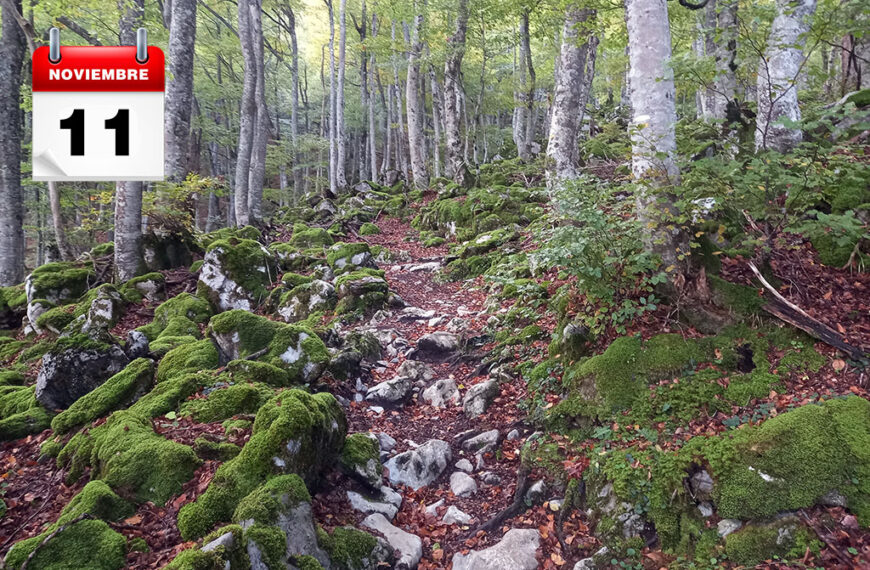 bosque gumial senderismo niños asturias