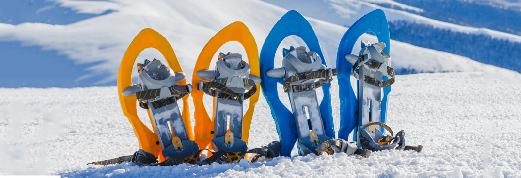 Curso raquetas de nieve en Asturias