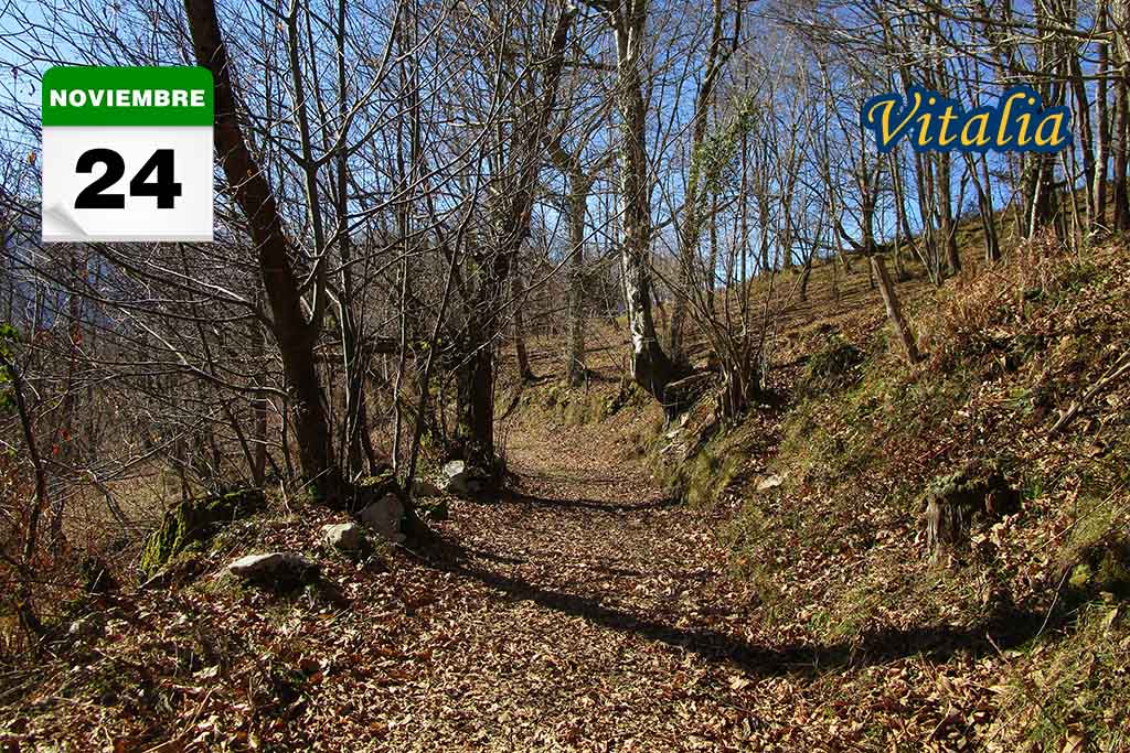 Sendero GR 109 Asturias Interior Carreña Ortiguero