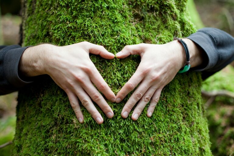 El Club Alpino Asturiano distribuye plantas por el Día Mundial del Medioambiente