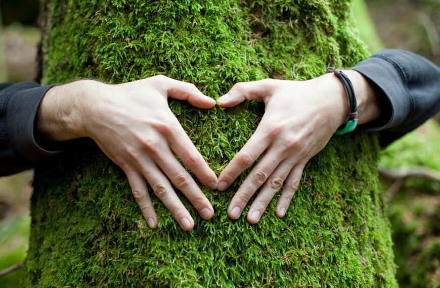 Día Mundial del Medioambiente 2025