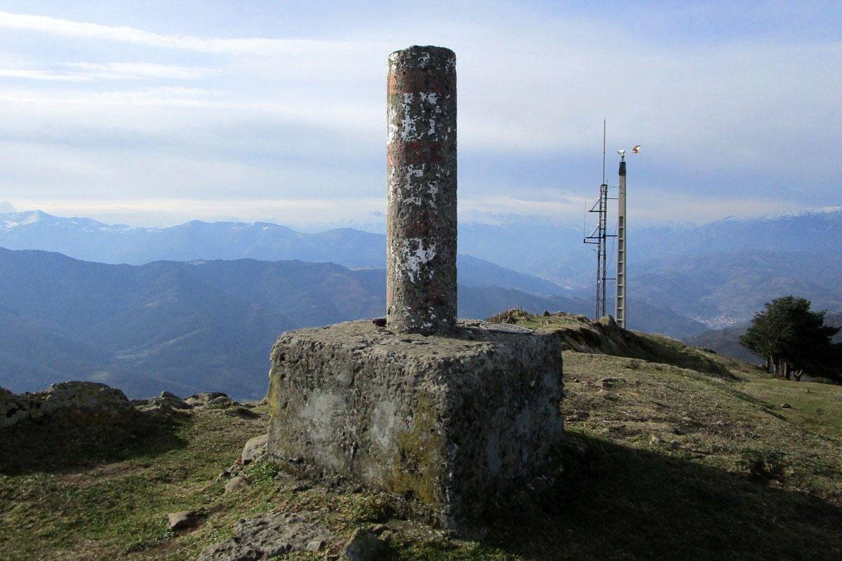 Pico Polio