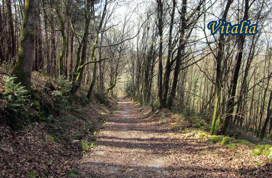 GR 109 Asturias Interior