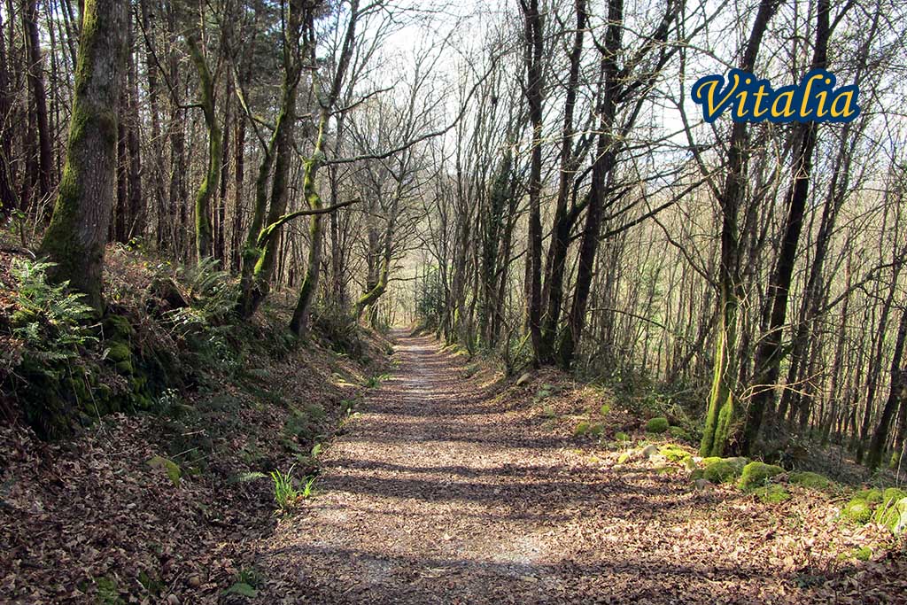 GR 109 Asturias Interior