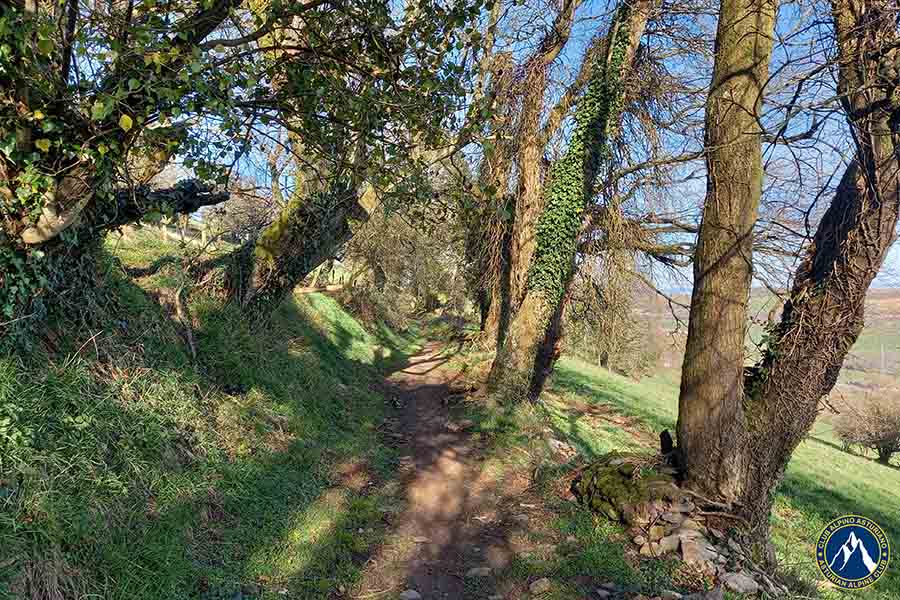 Sierra de Tineo Camino Primitivo