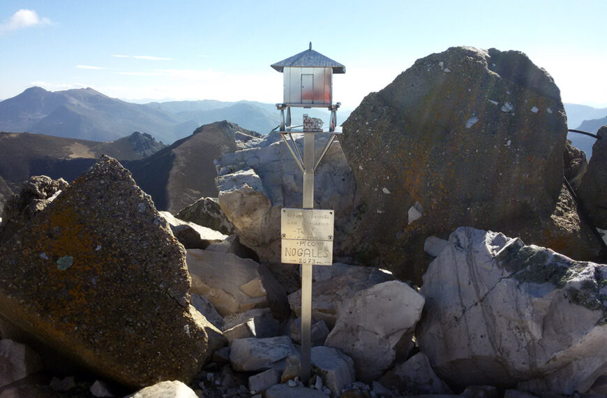Pico Fuentes, Oso Nogales sierra del Ajo