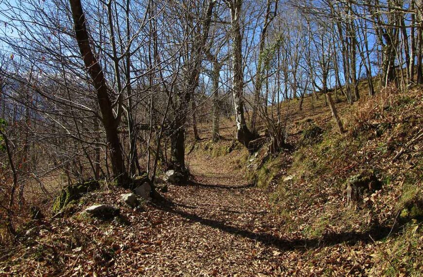 Sendero GR 109 Asturias Interior Carreña Ortiguero