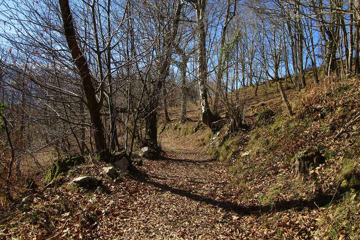 Sendero GR 109 Asturias Interior Carreña Ortiguero