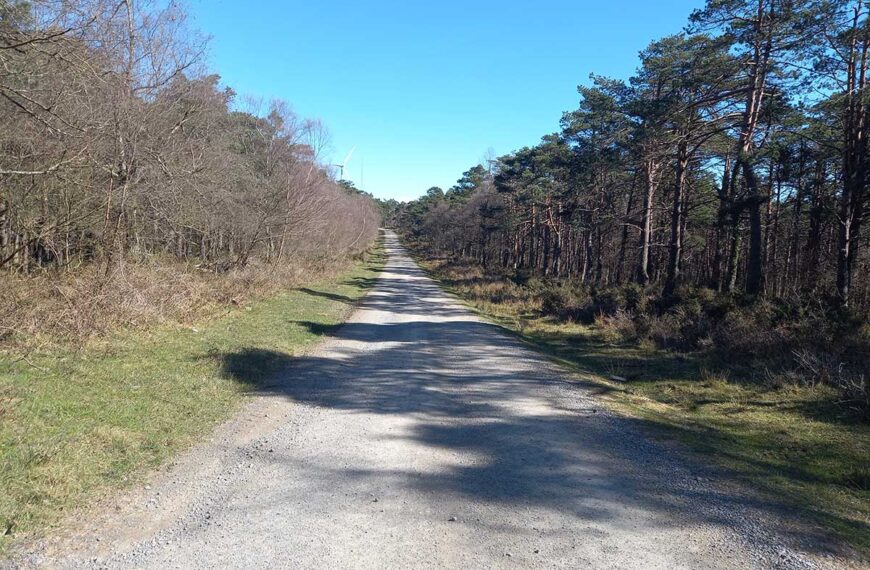 Necrópolis sierra de Tineo