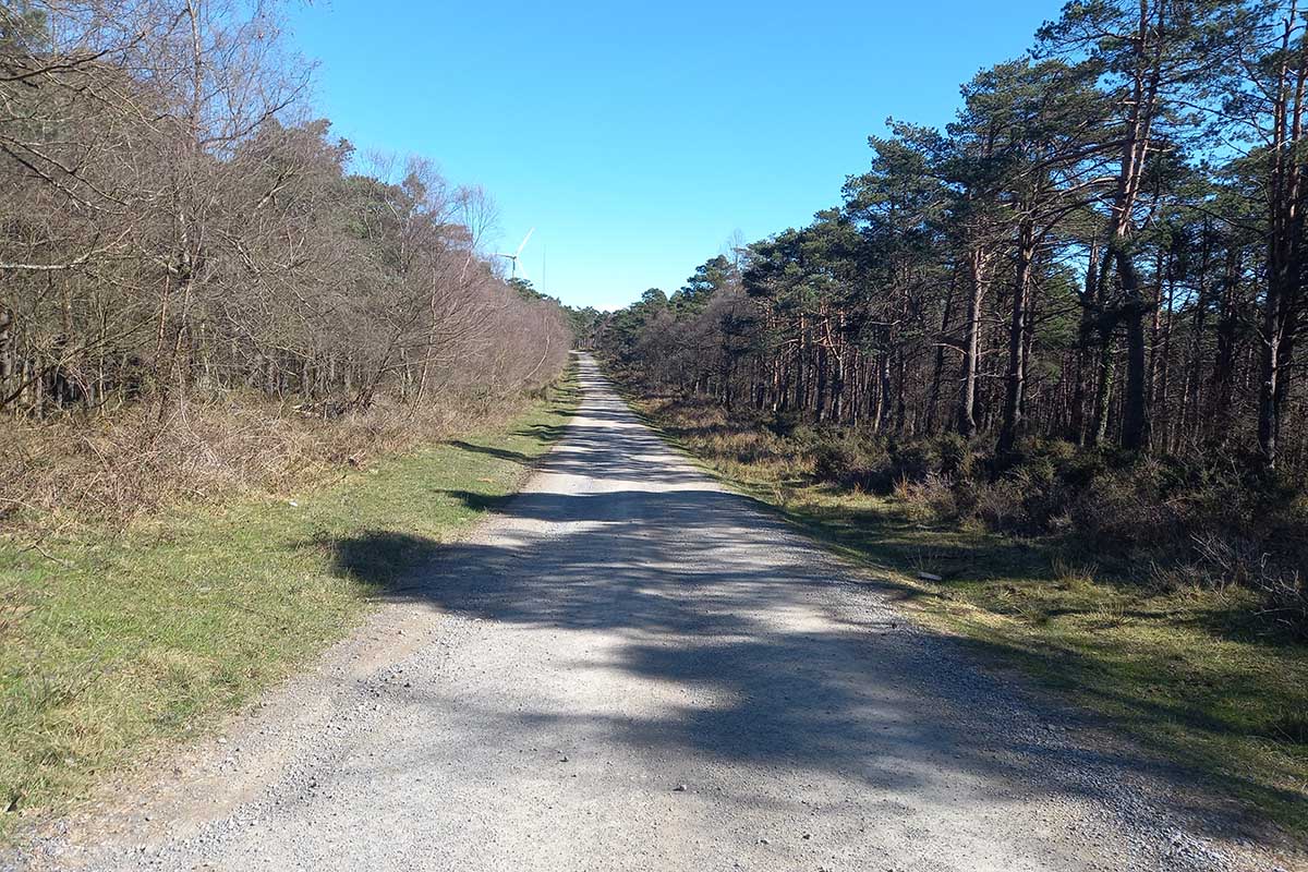 Necrópolis sierra de Tineo