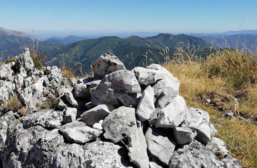 Pico Abedulón