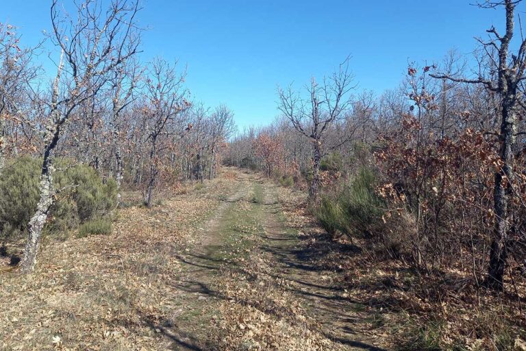 Caminos de la Trashumancia