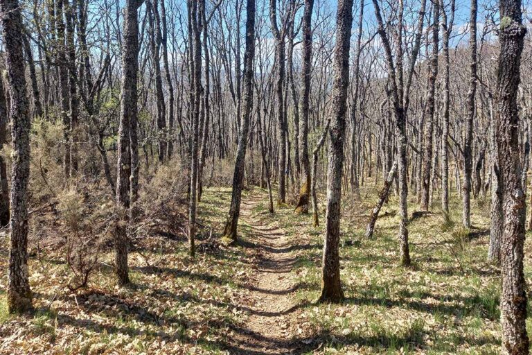 PR-LE 104 Peña del Asno