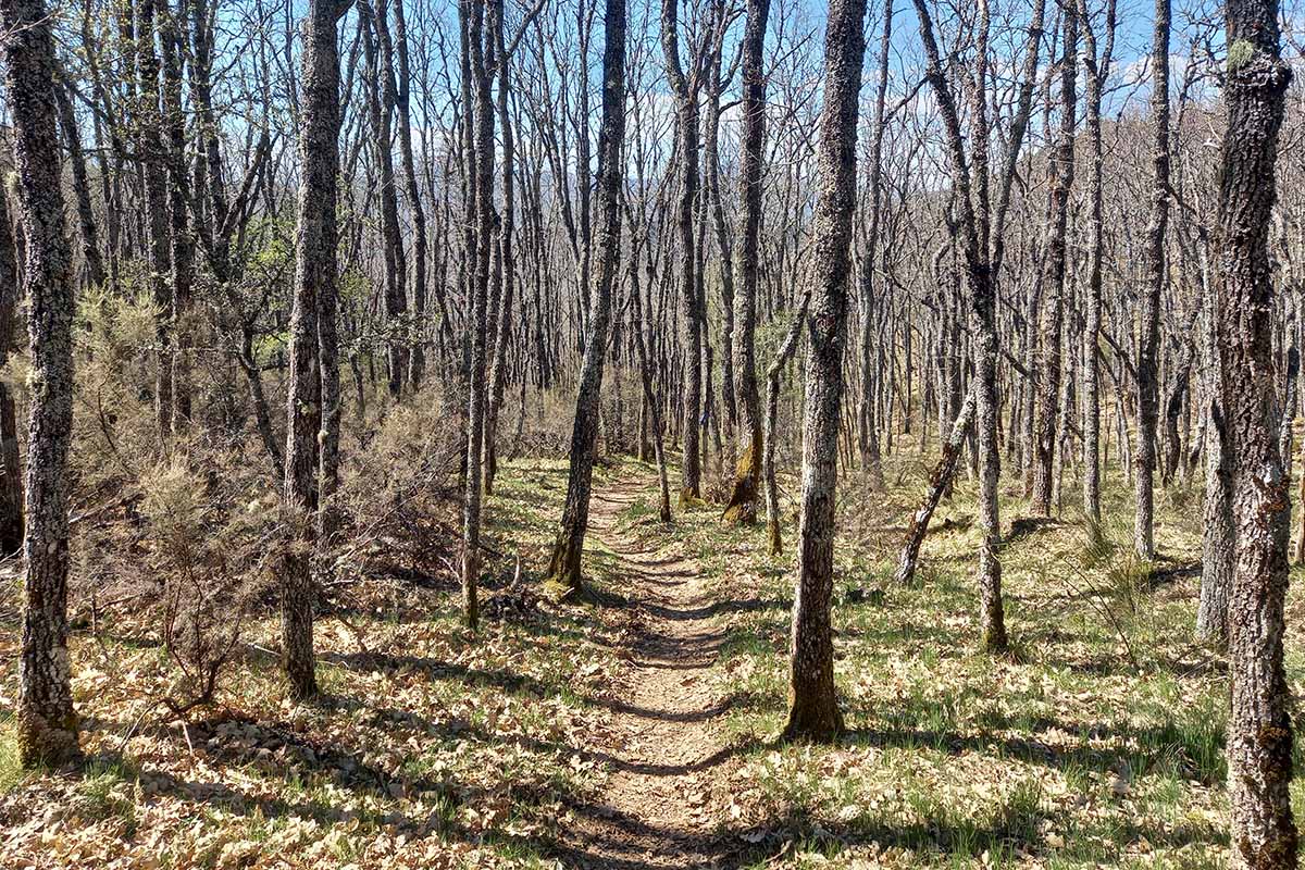 PR-LE 104 Peña del Asno