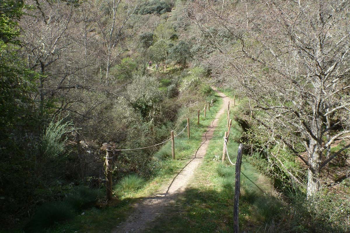 PR-LE 42 Las Puentes de Malpaso