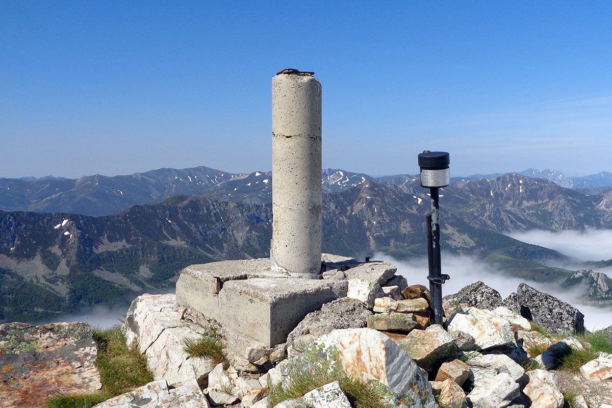 pico torres techo caso