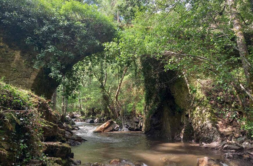 puentes malpaso
