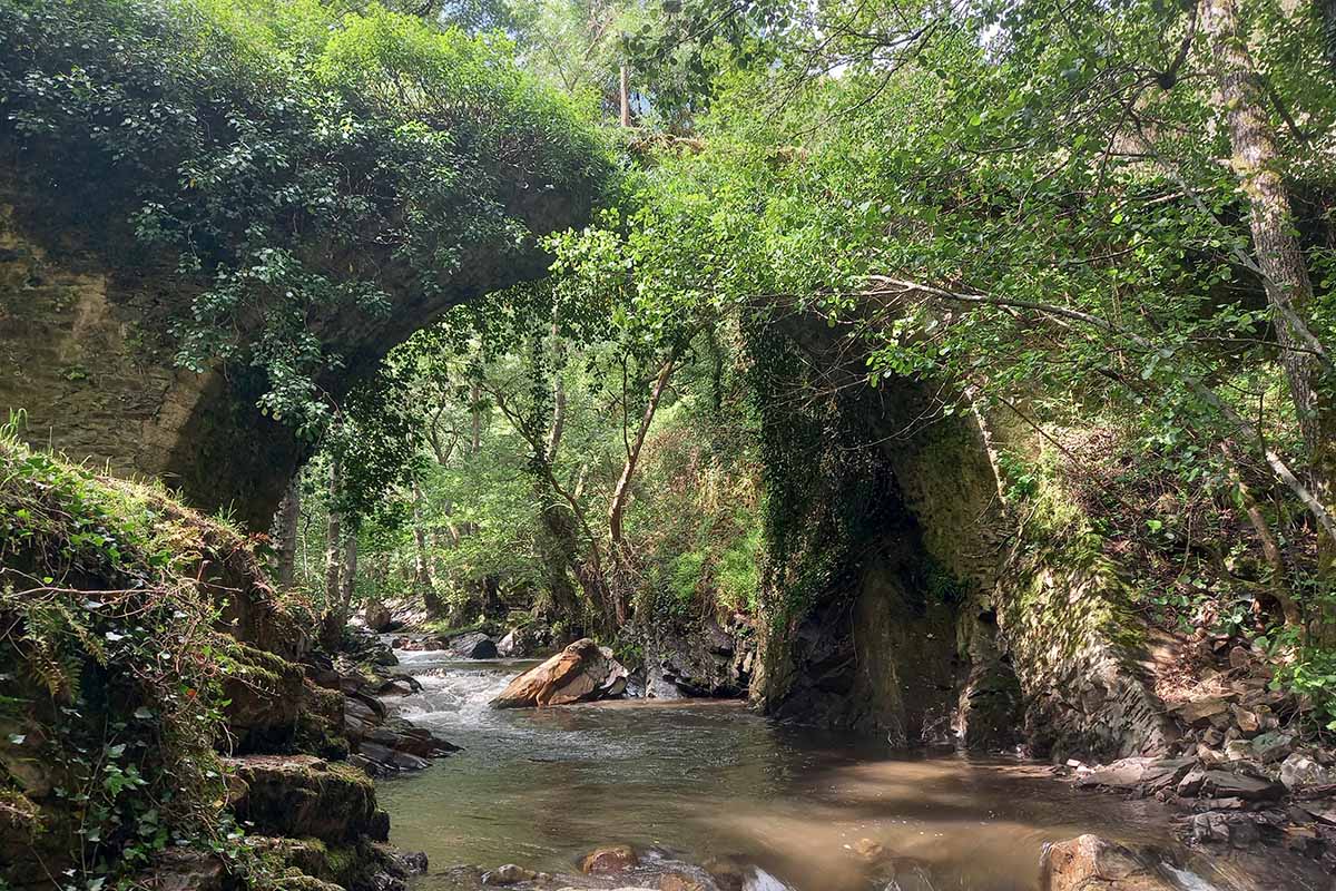 puentes malpaso