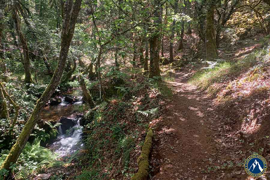 ruta cortines