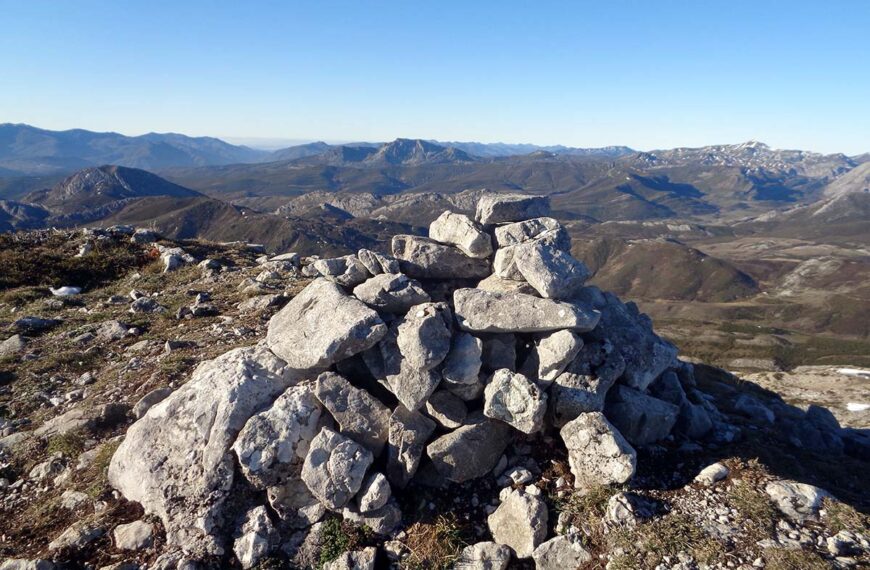 picos blancos