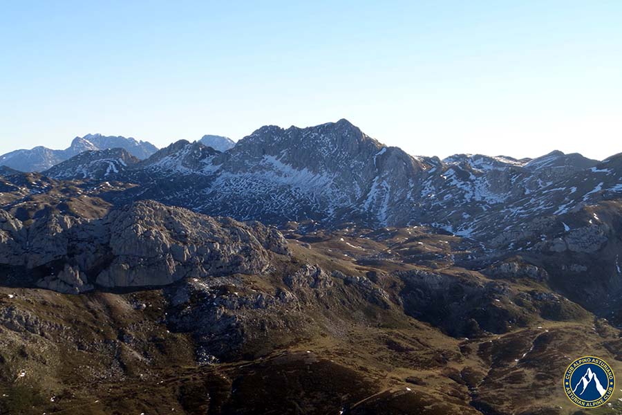 picos blancos