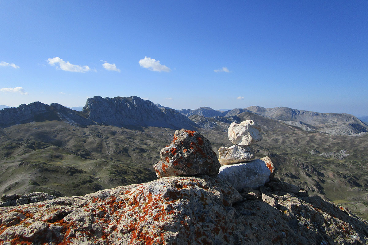picos albos